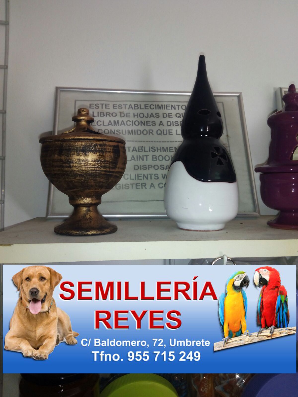 Semilleria_Reyes-02