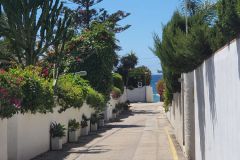 Concha-Lobaton-Properties-Chalet-independiente-en-Marbella-02