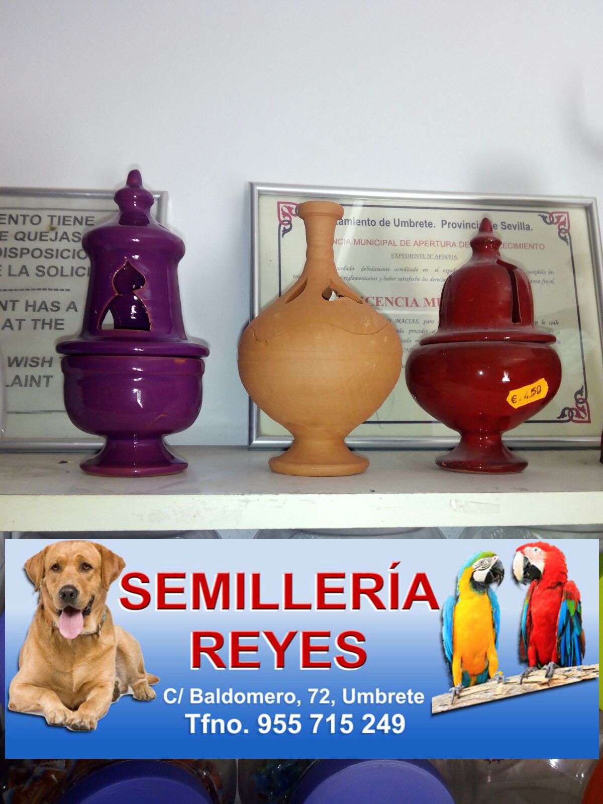 Semilleria_Reyes-01