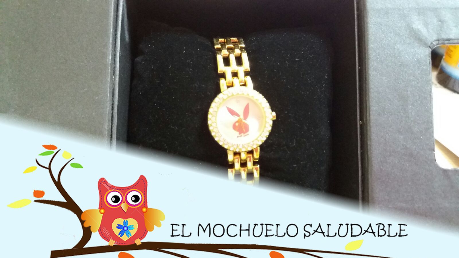 02-El_Mochuelo_Saludable